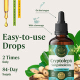 Étiquette claire d’HERBAMAMA Teinture Cryptolepis détaillant les ingrédients simples.