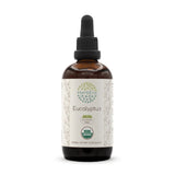 HerbEra Eucalyptus B120 - bouteille: extrait sans alcool prêt à l'emploi pour votre routine.