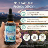 HerbEra Florida Détox – etiquette-boite, présentation naturelle pour votre routine