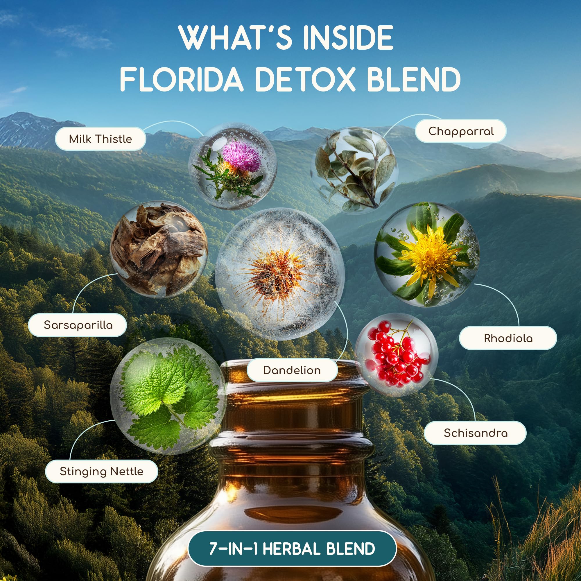 HerbEra Florida Détox – flacon-plein, manipulation et transport faciles