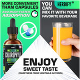 Ingrédients sauvages et purs HERBIFY chlorophylle, soutien immunitaire potentiel et peau saine.