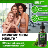 HERBIFY Extrait de cilantro, antioxydants puissants pour soutenir la peau et la vitalité.