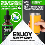 HERBIFY Soin à base de cilantro, nutrition et protection pour la peau.