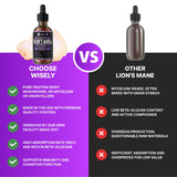 HERBIFY Crinière de Lion – gouttes en action, routine potentielle.