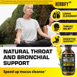 Gouttes HERBIFY Molène dans conteneur ambré, formulation concentrée et pureté visible