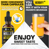 Gouttes HERBIFY Molène, dose simple pour introduction dans votre routine