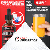 HERBIFY Mullein Drops, doseur intégré, facilité le dosage dans l’eau.