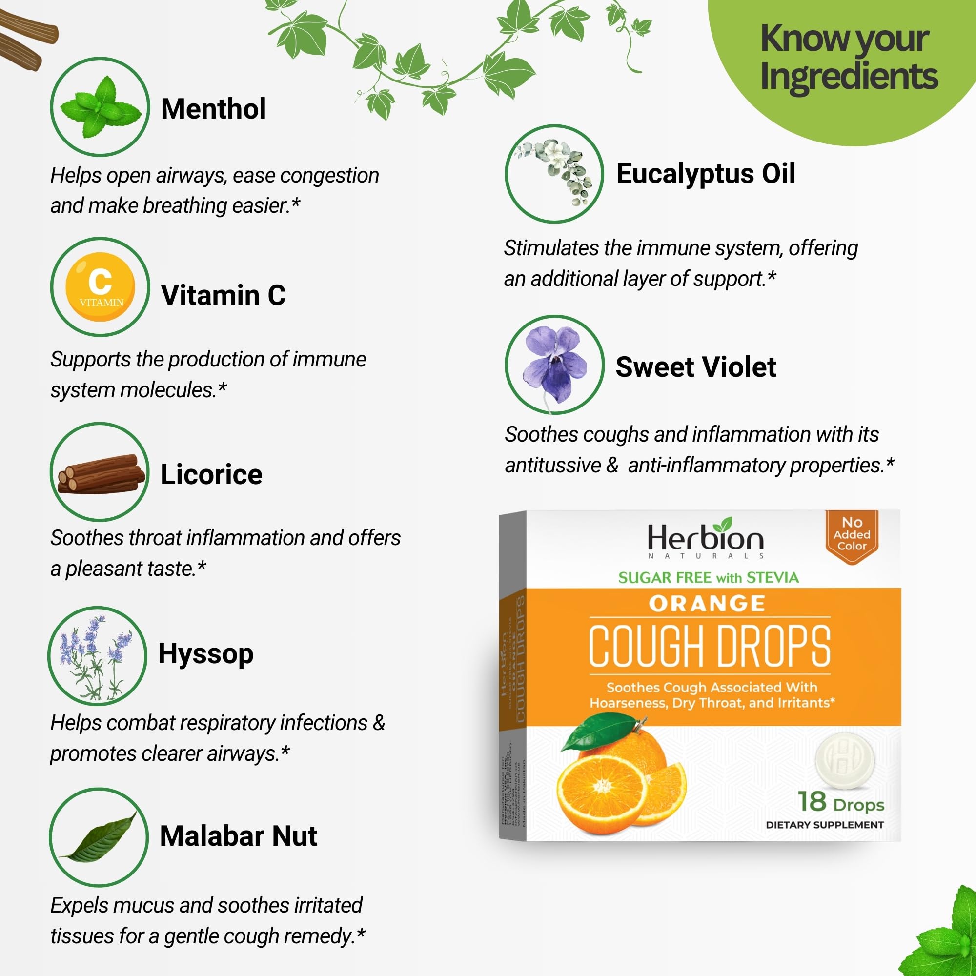 HERBION Naturals sans sucre Stevia, option légère