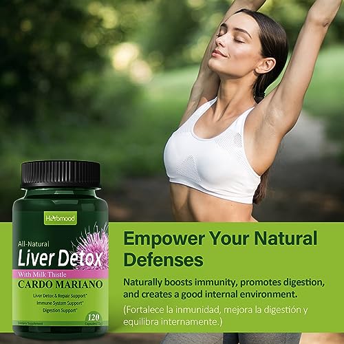 Herbmood extrait artichaut - flacon montrant ingrédients naturels pour digestion.
