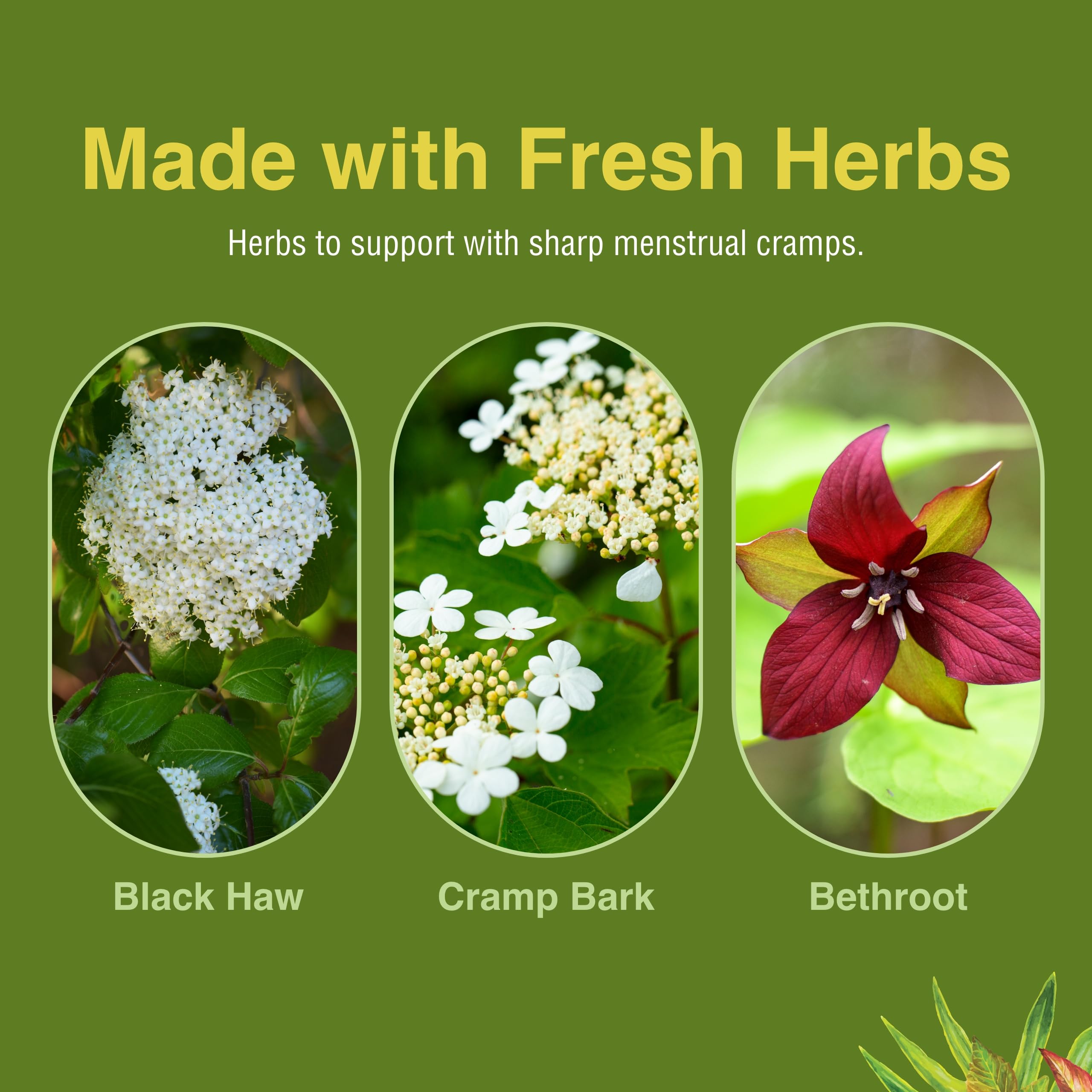 Herbs Etc. 60 gélules — quantité pratique pour le mois.