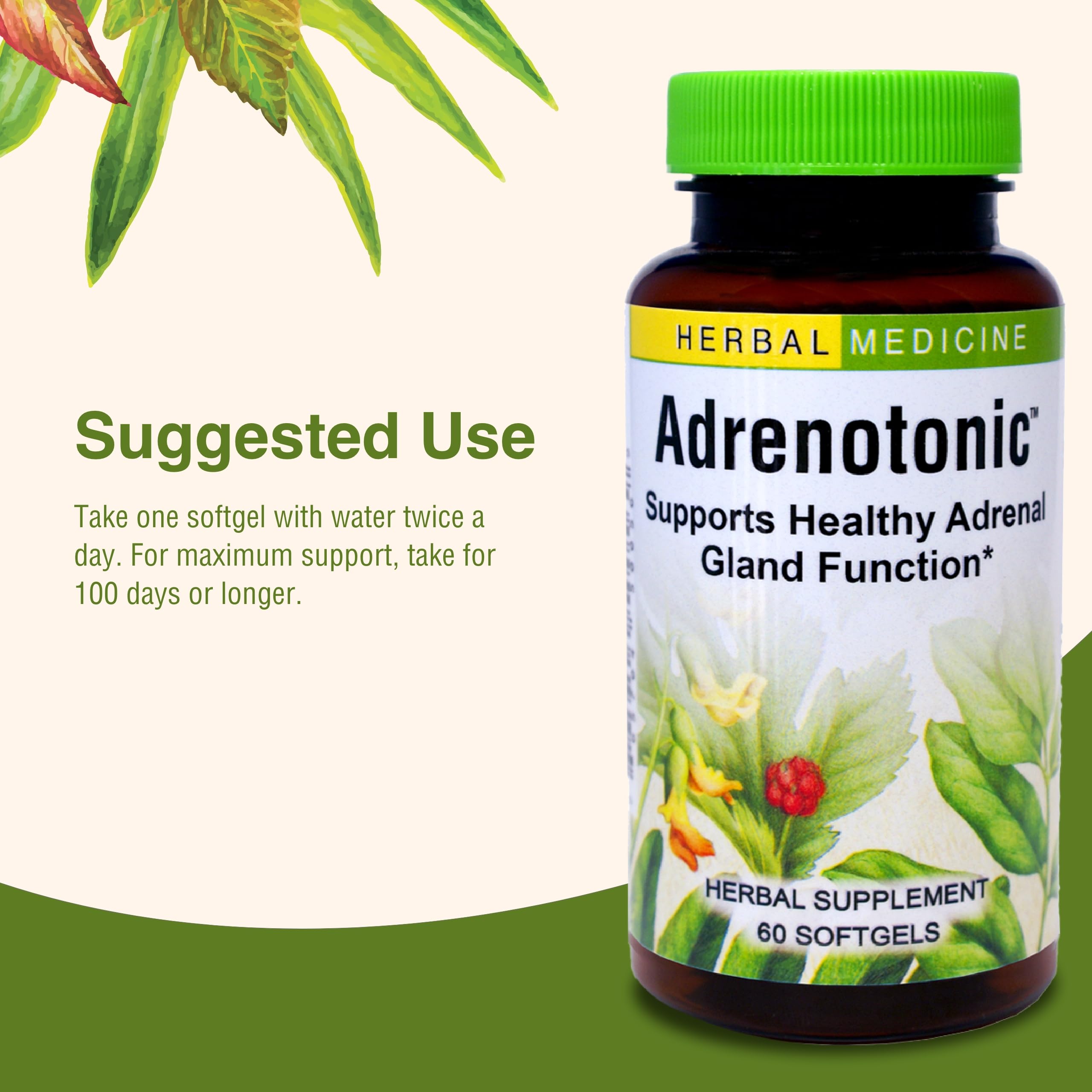Herbs Etc. Adrenotonic - emballage soigné facilitant l'intégration dans la routine
