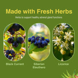 Herbs Etc. Adrenotonic - posologie simple: une capsule deux fois par jour