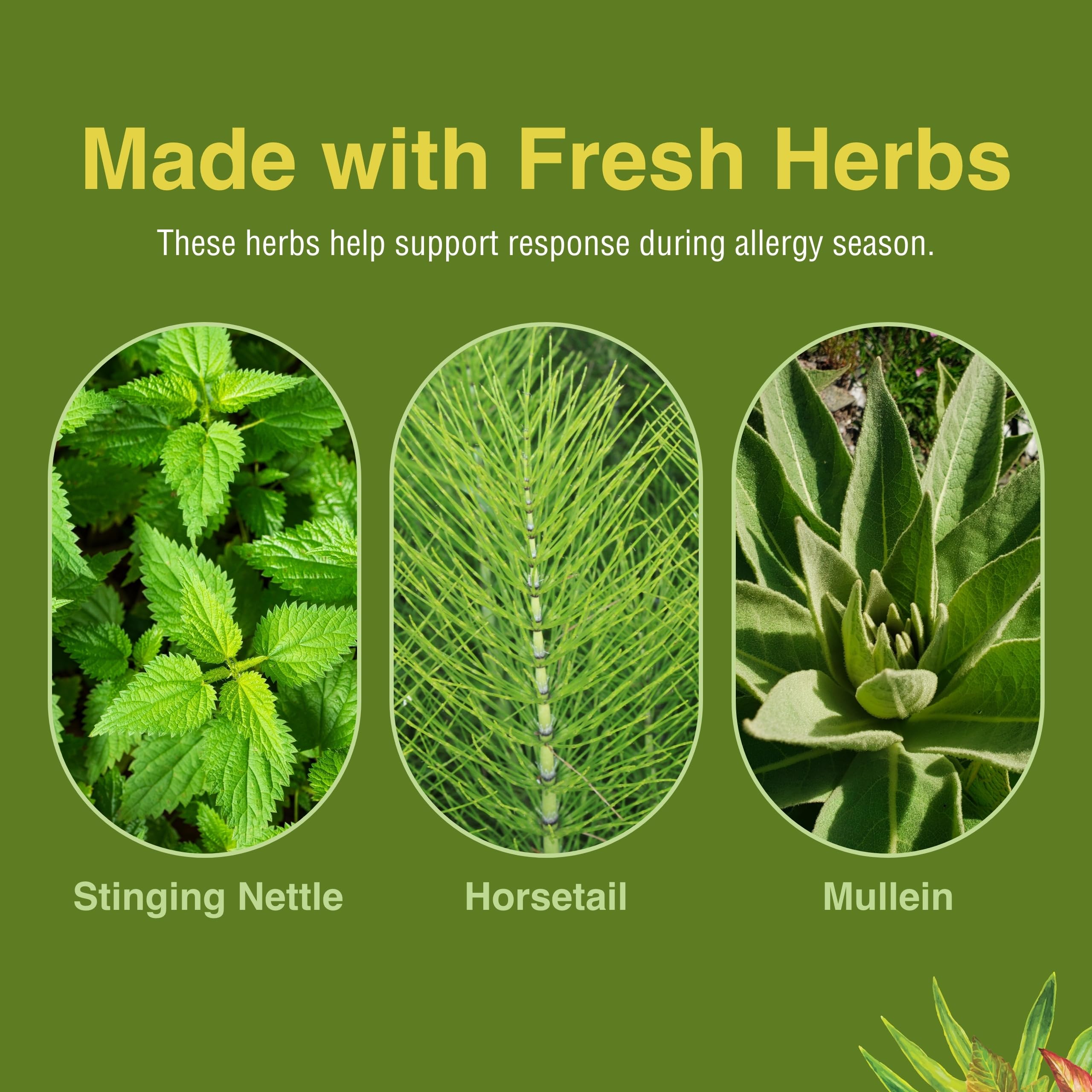 Herbs Etc. Allergy ReLeaf System – bienfaits potentiels pour le confort saisonnier