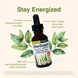 Herbs Etc. ChlorOxygen – soutien potentiel à la vitalité et à la circulation sanguine