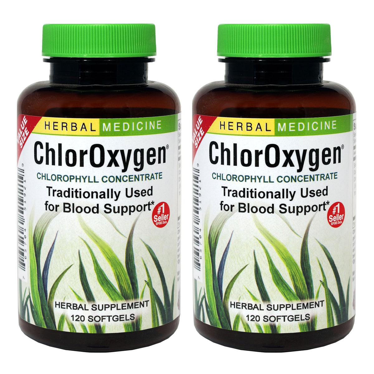 Herbs Etc. ChlorOxygen: bouteille de chlorophylle concentrée pour un soutien général.