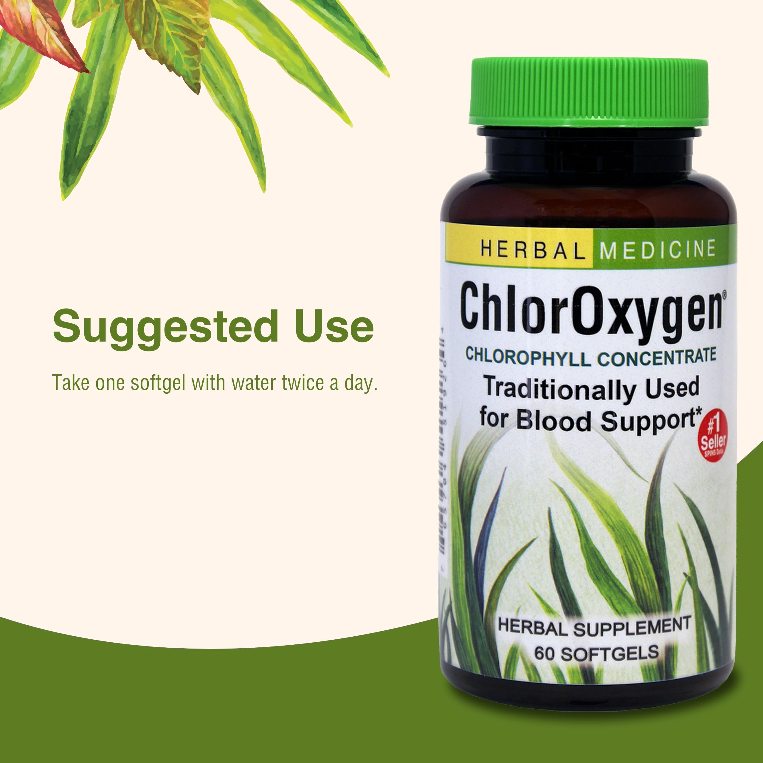 Close-up de l’étiquette montrant chlorophylle naturelle et ingrédients européens