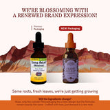 Herbs Etc. Cramp ReLeaf – emballage et flacon visibles pour un usage régulier