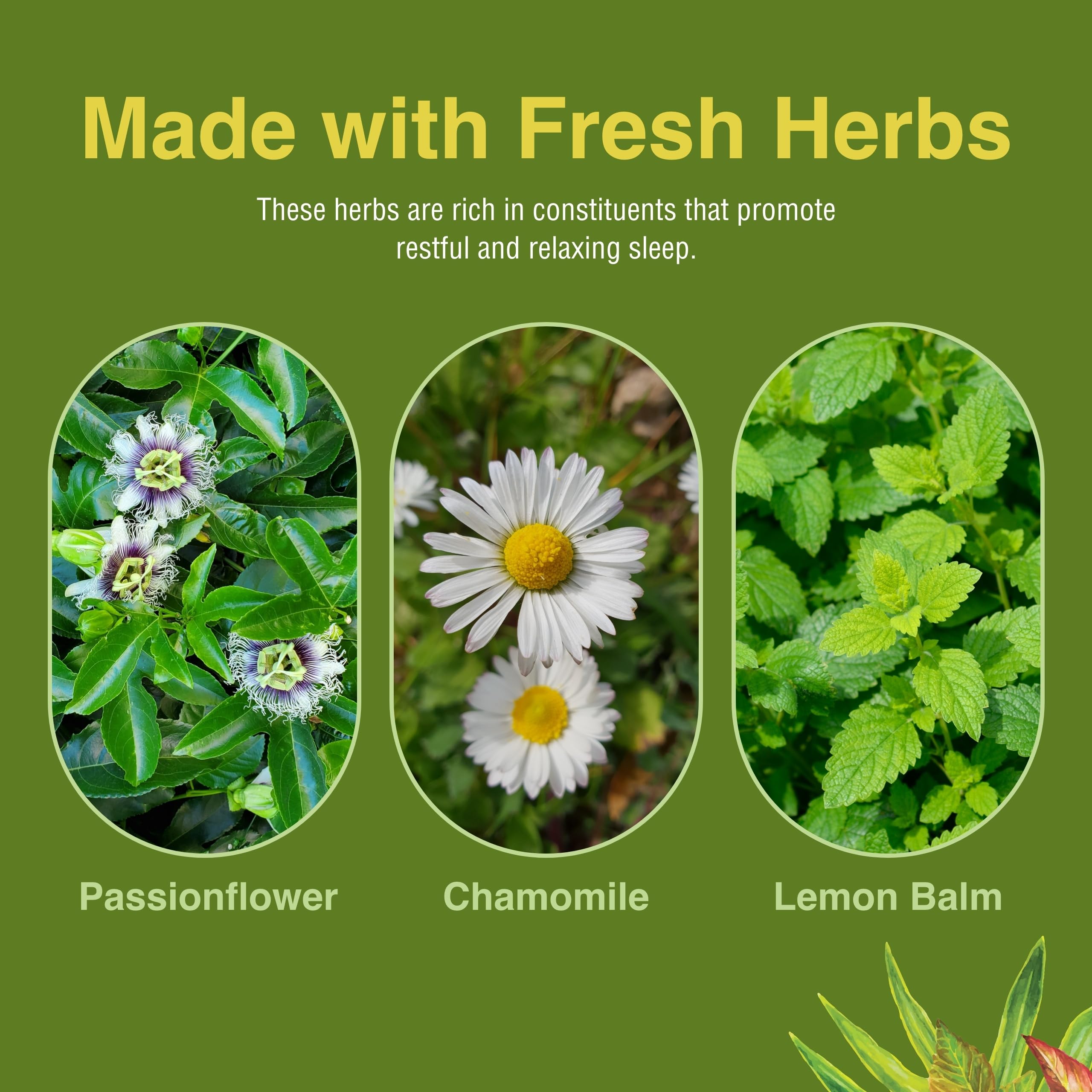 Herbs Etc. Deep Sleep: table de nuit prête pour la routine du soir.