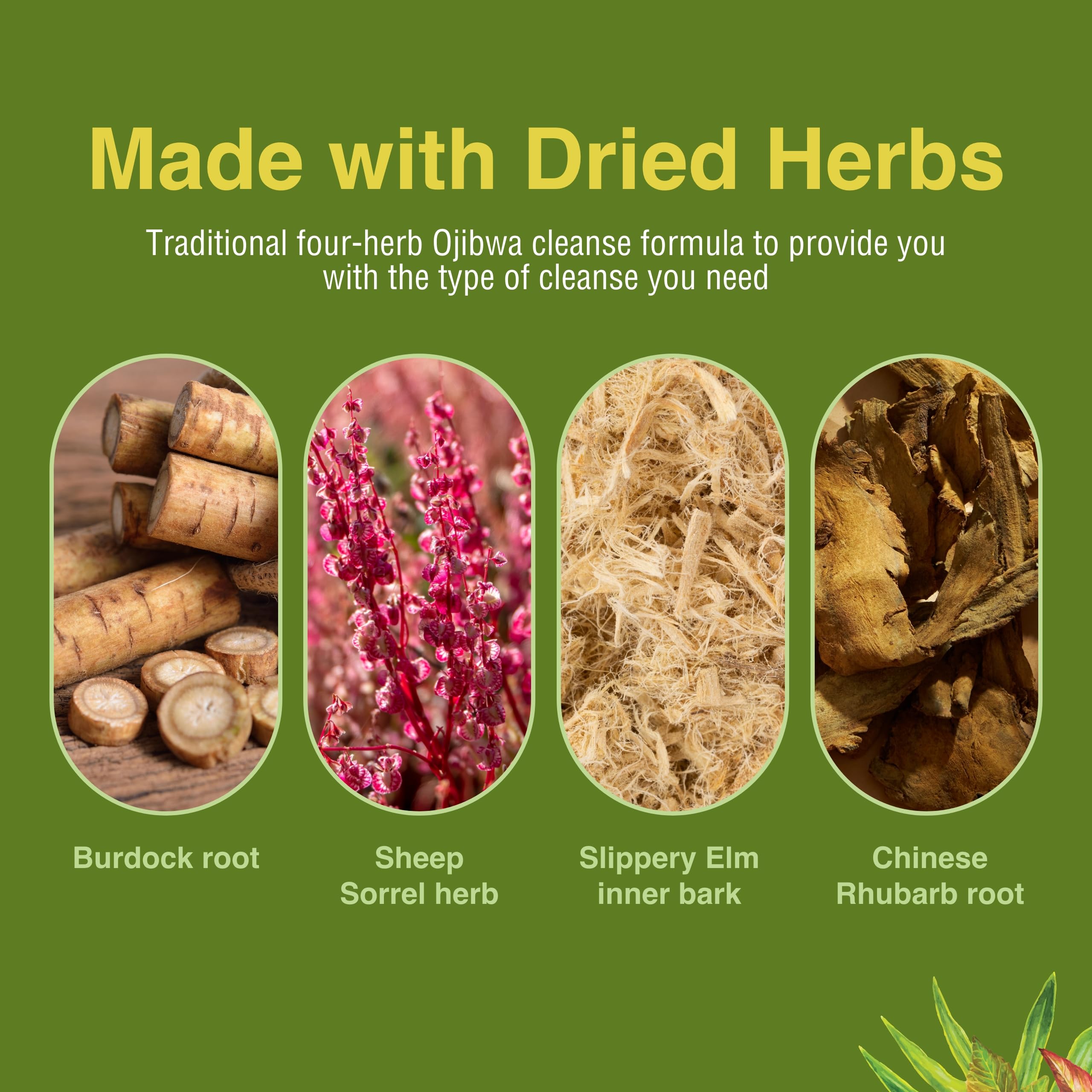 Herbs Etc. Essiac Tonic Softgels – prise quotidienne discrète pour votre routine.