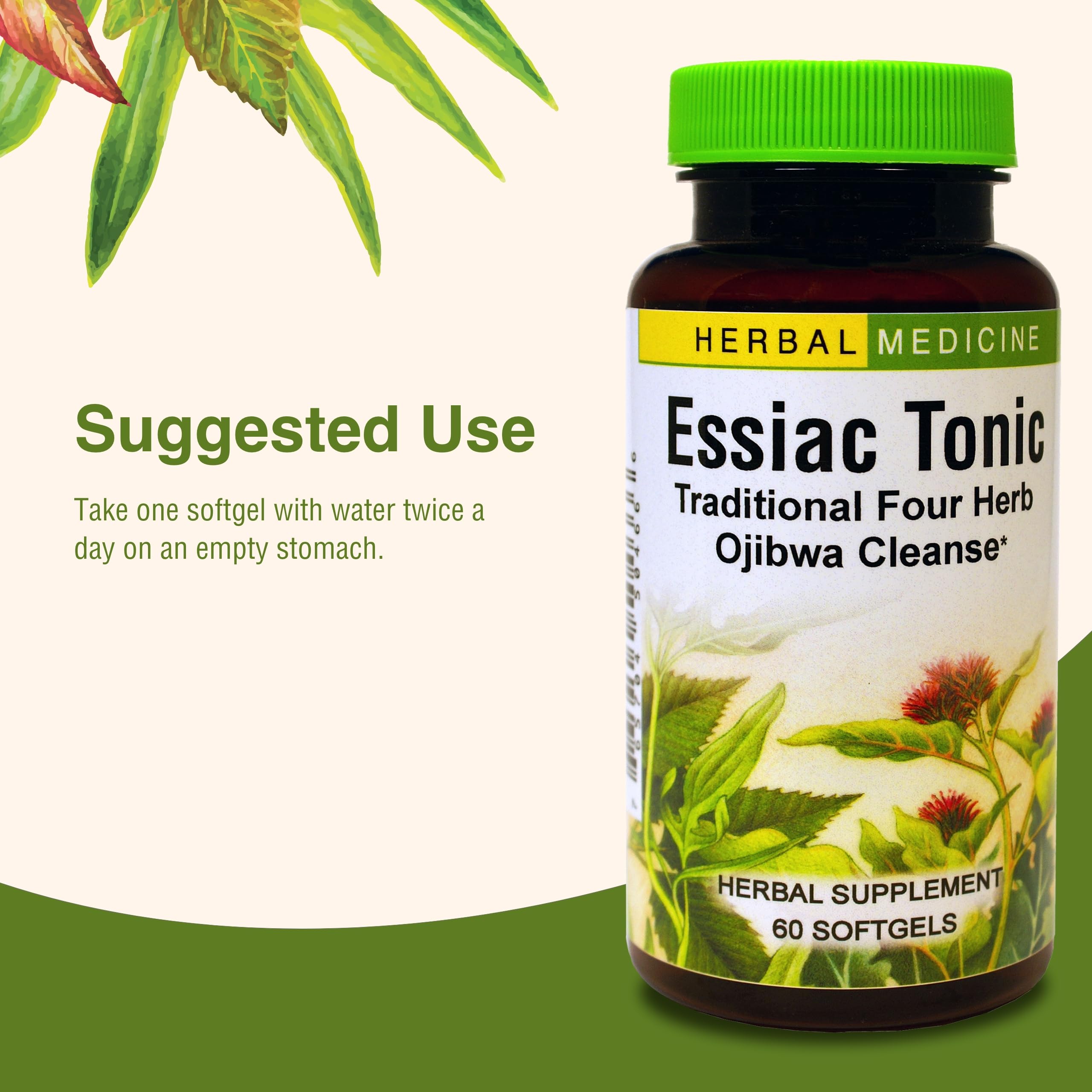 Rituel de bien-être avec Essiac Tonic pour une routine saine