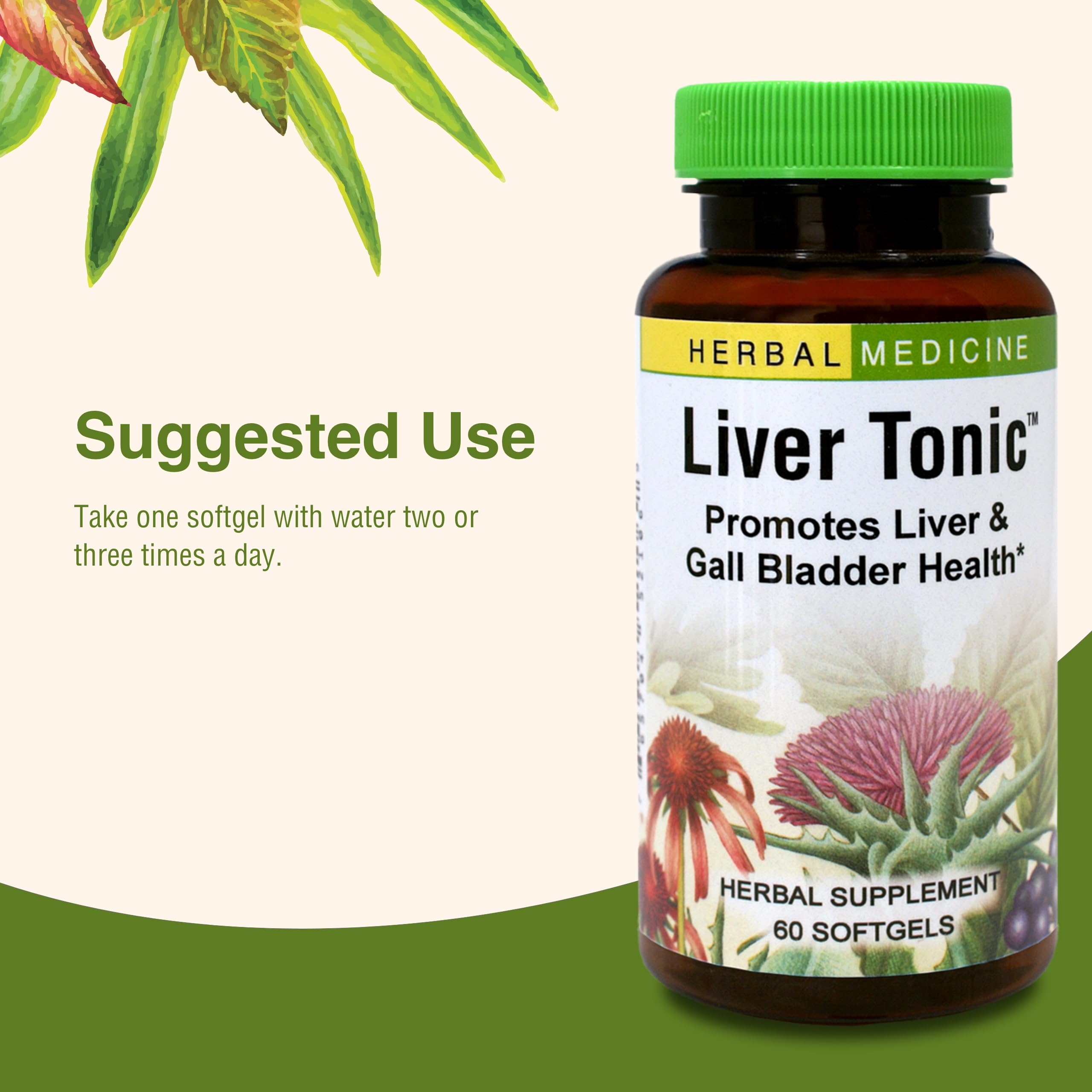 Herbs Etc – présentation de la formule à base de plantes.