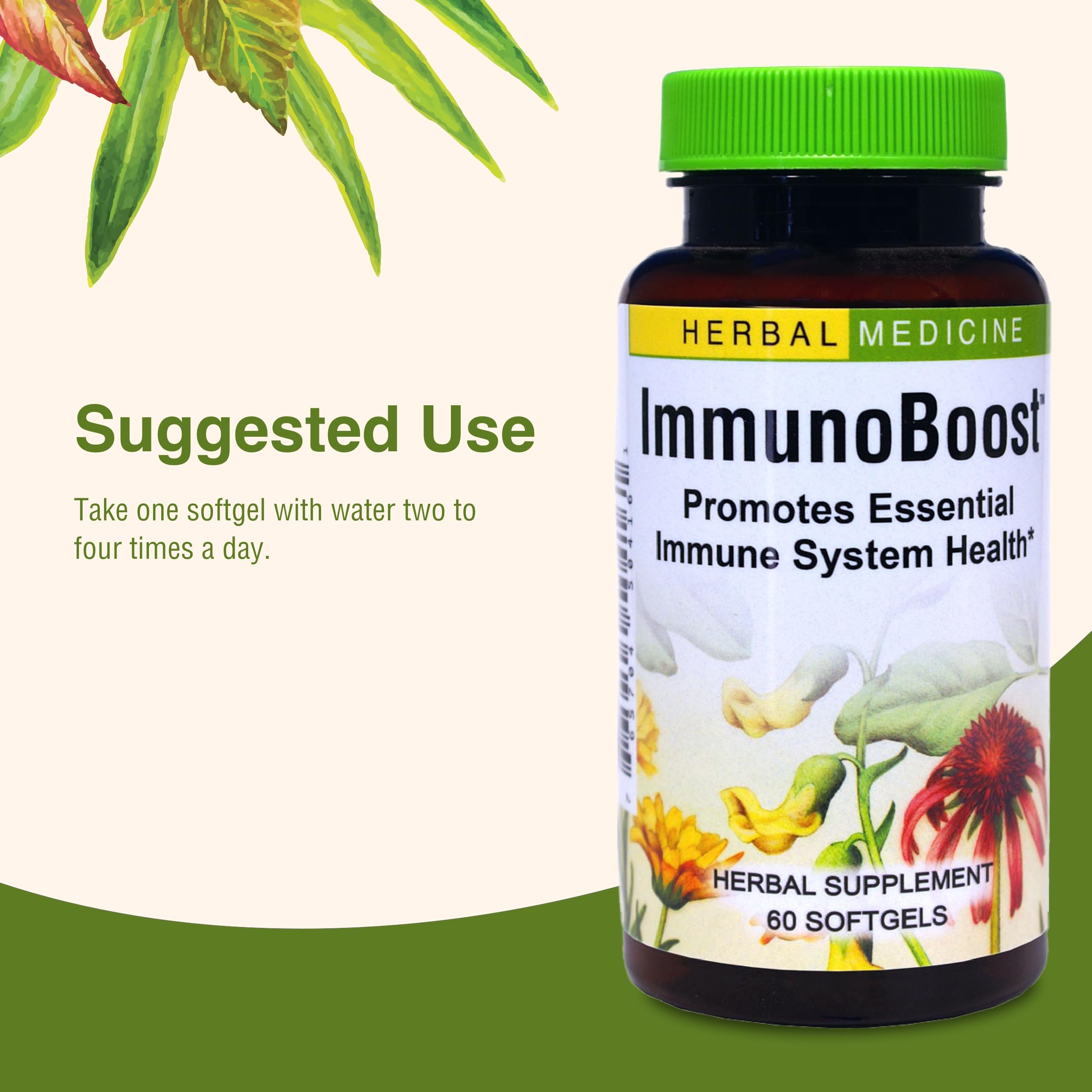 Immunoboost d'Herbs Etc. emballage pratique et portable.