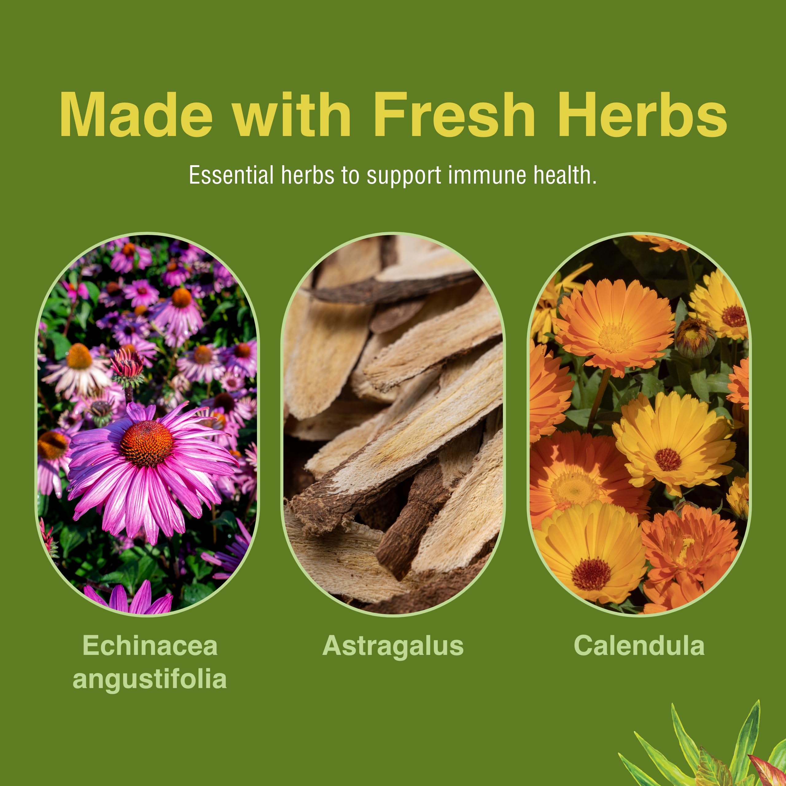 Immunoboost d'Herbs Etc. soutien immunitaire sans gluten pour routine quotidienne.