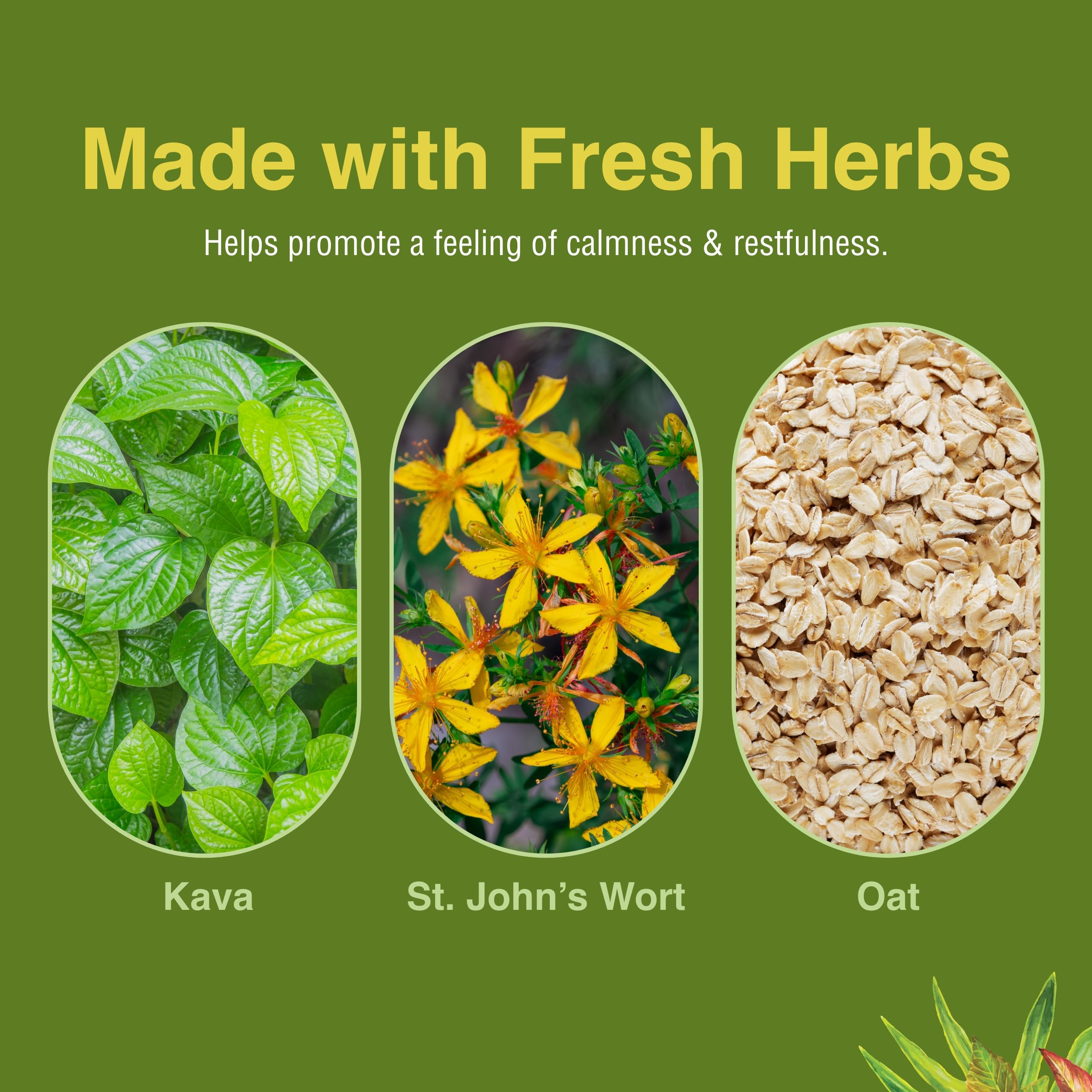 Herbs Etc. Kava Calm Complex — flacon transparent montrant les gélules.