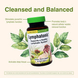 Herbs Etc. Lymphatonic – échinacée angustifolia et ocotillo pour un soutien possible.