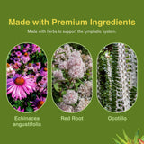 Herbs Etc. Lymphatonic – formulation biologique avec racine de bardane et réglisse.