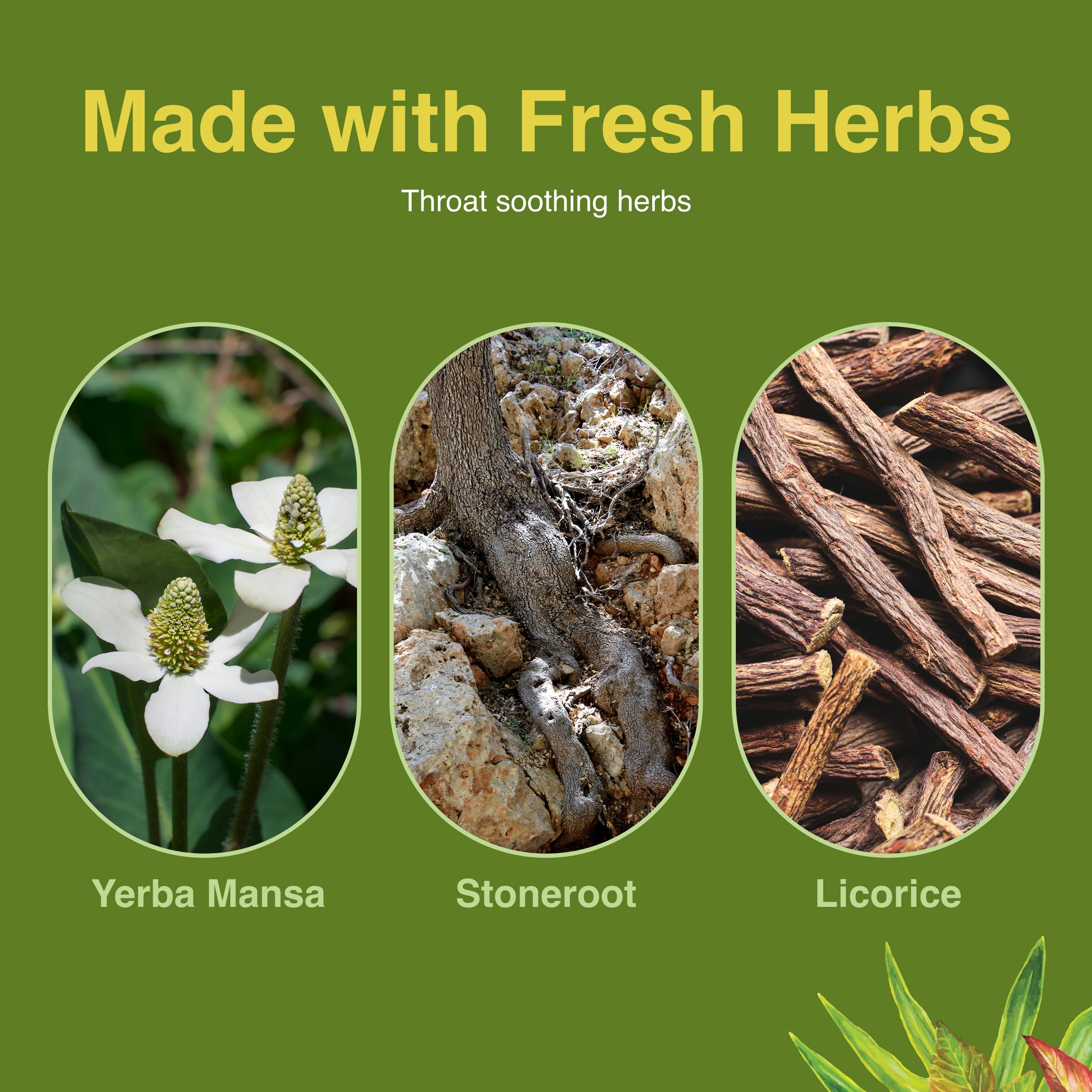 Herbs Etc. Methode-base-herbes – Formulation à base d'herbes pour le bien-être.