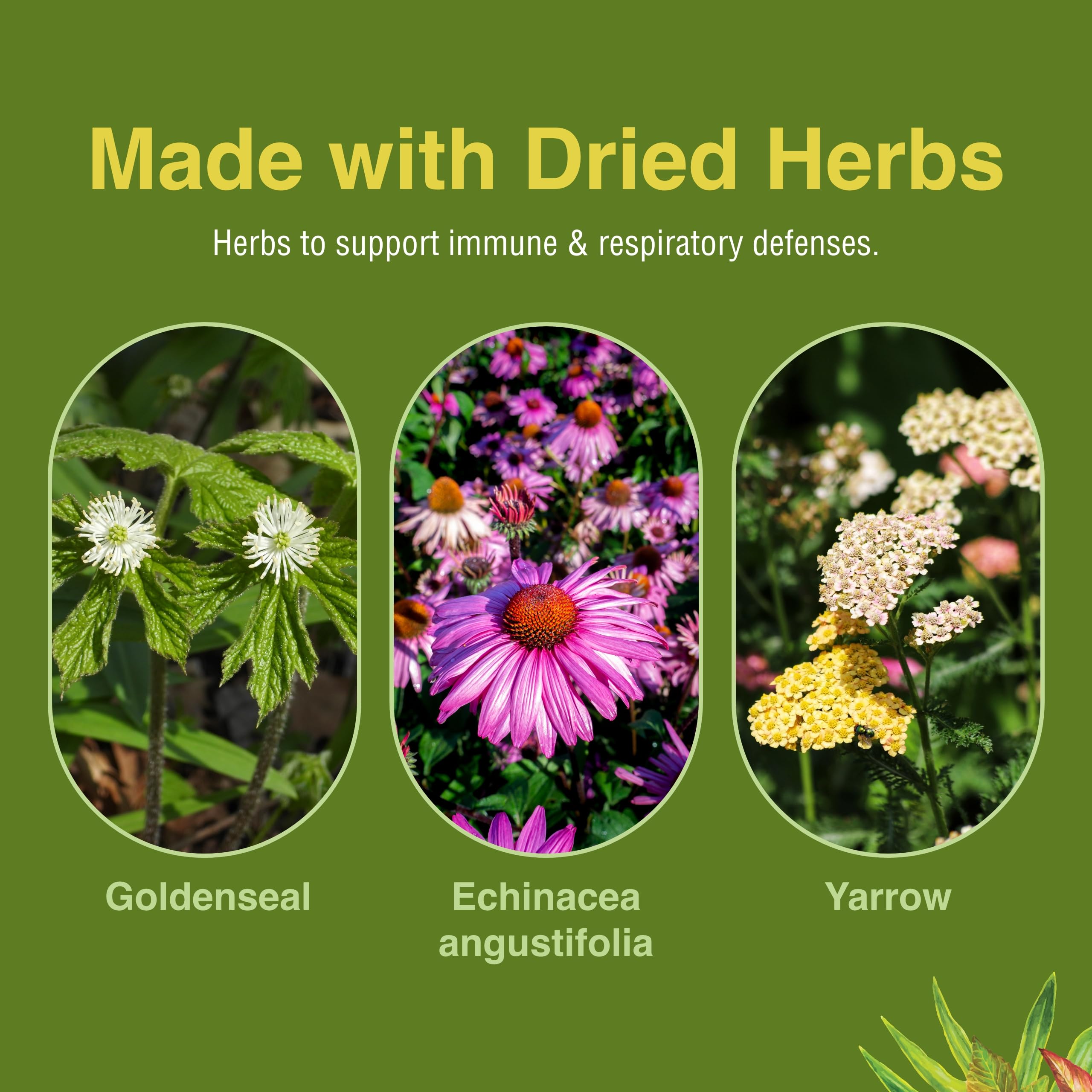 Herbs Etc Peak Defense: produit sans gluten adapté aux régimes sensibles.