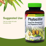 Bouteille de 120 gélules de Phytocillin – format pratique et durable