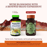 Herbs Etc. Phytocillin gélules digestives – soutien potentiel du confort digestif