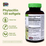 Herbs Etc. Phytocillin Yerba Mansa – ingrédient clé pour le bien-être