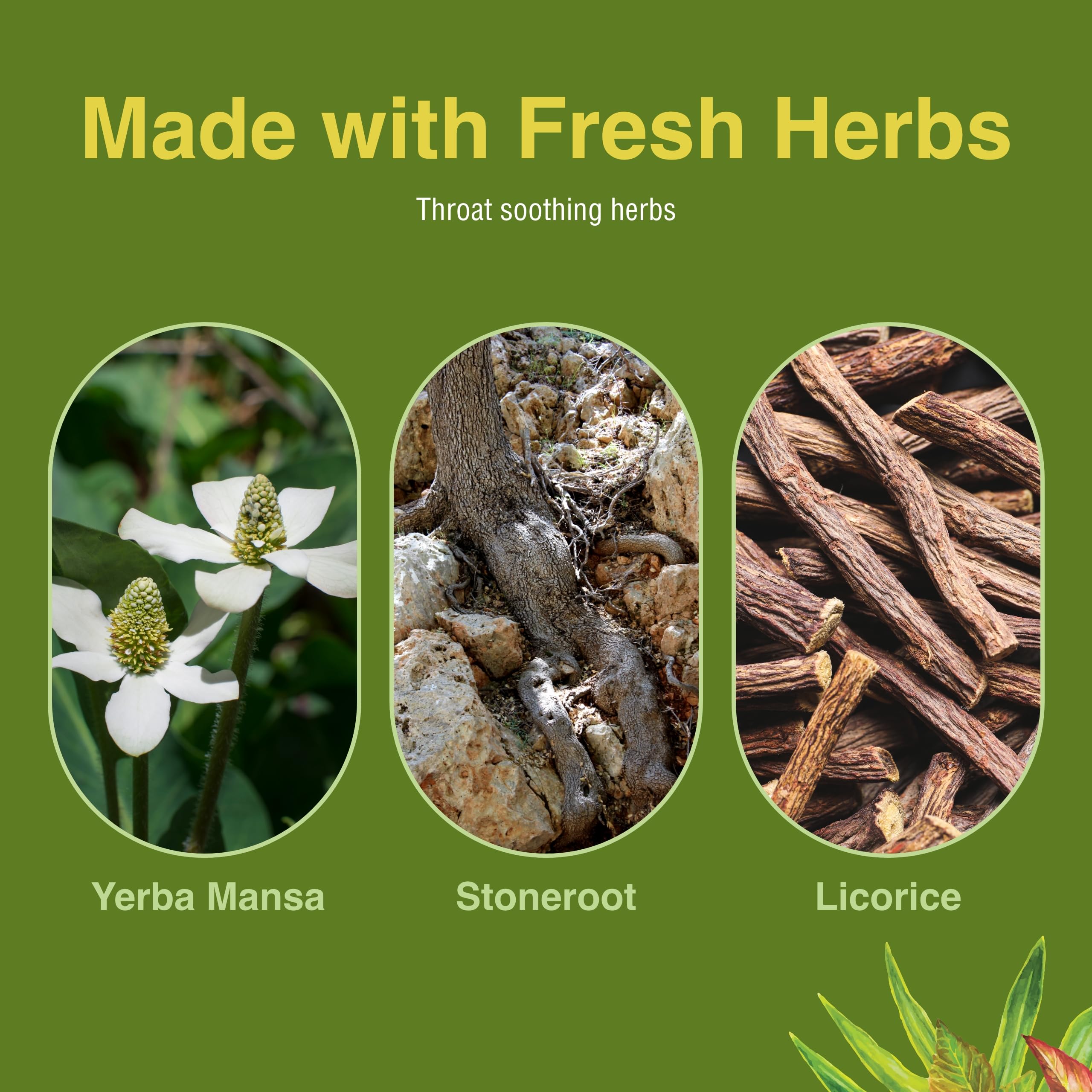 Herbs Etc. Singer's Saving Grace - dosage et sécurité d'emploi