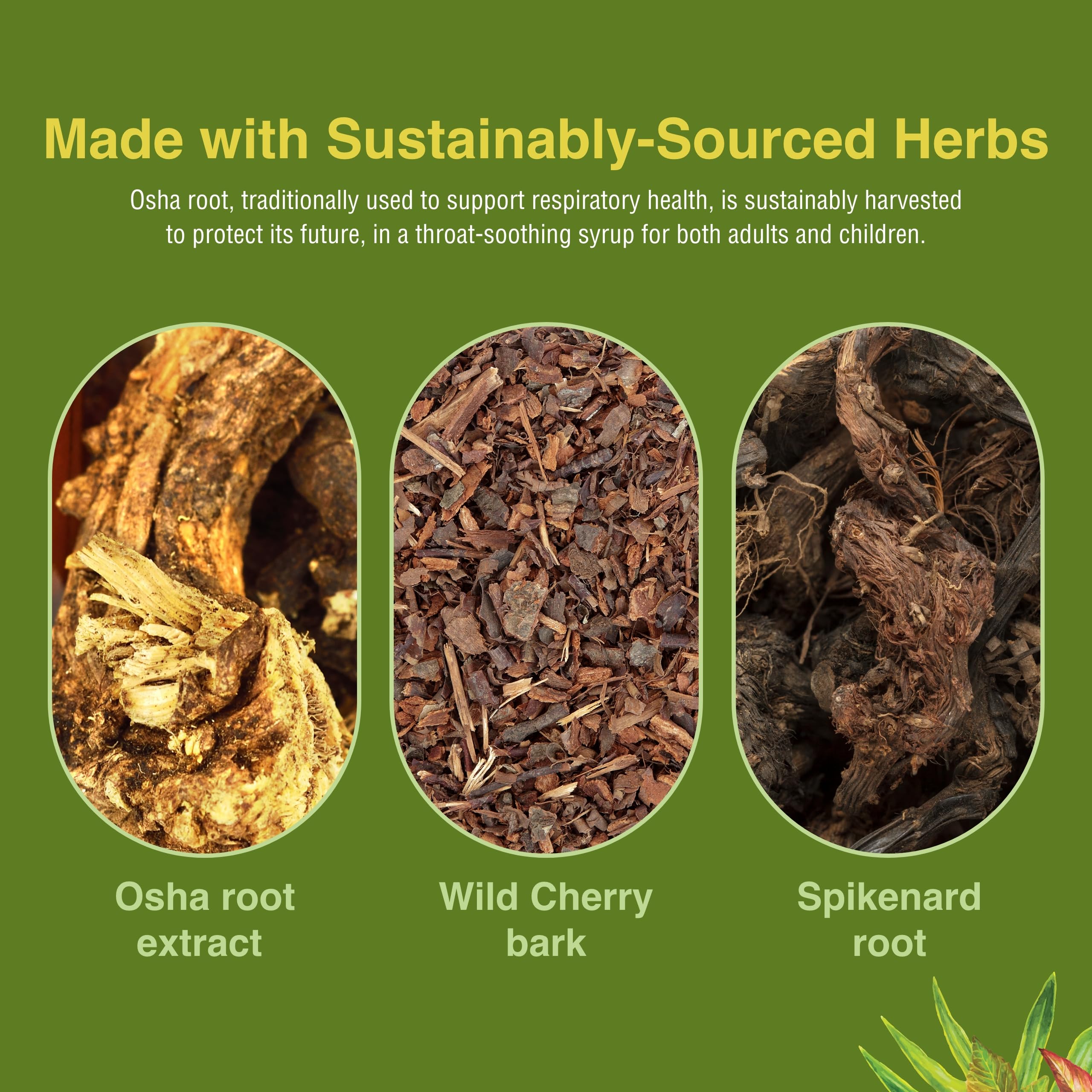 Herbs Etc. sirop Rocky Mountain — emballage recyclable et pratique.