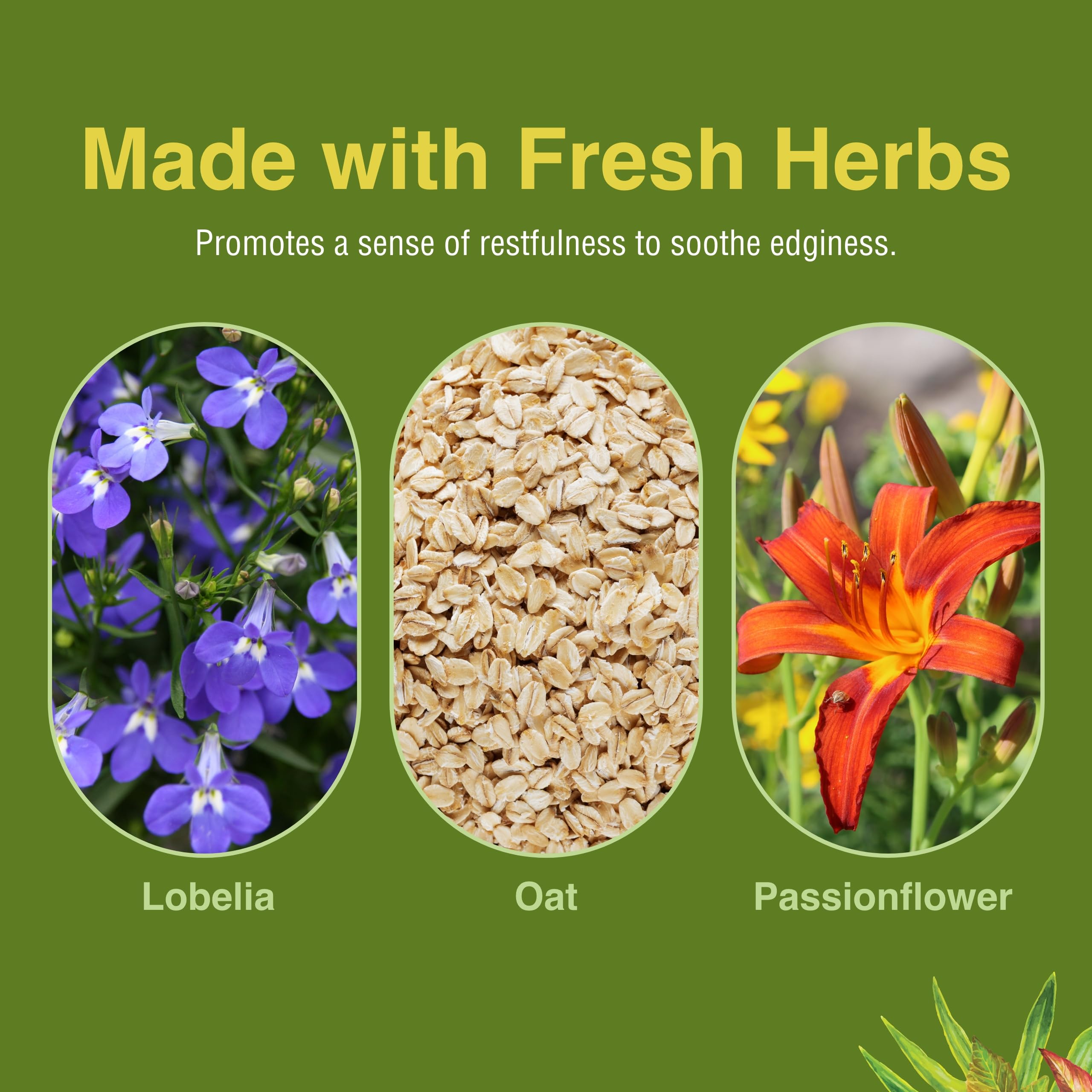 Herbs Etc. Smoke Free – passion florale et plantes utilisées dans la formule