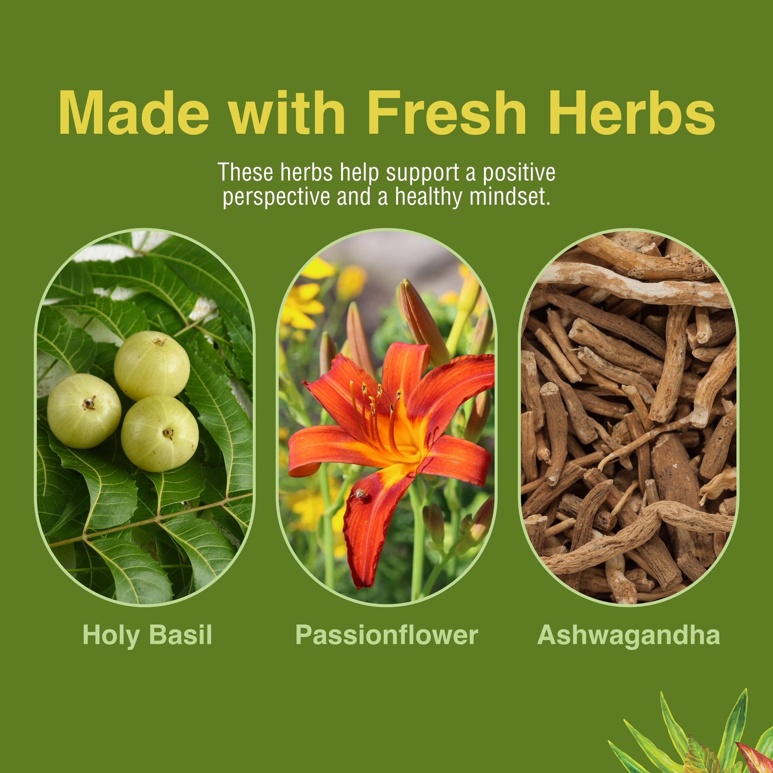 Herbs Etc. Stress ReLeaf : ingrédients naturels clés pour la détente