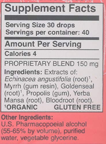 Application précise sur les gencives avec coton-tige et tonique buccal Herbs Etc.