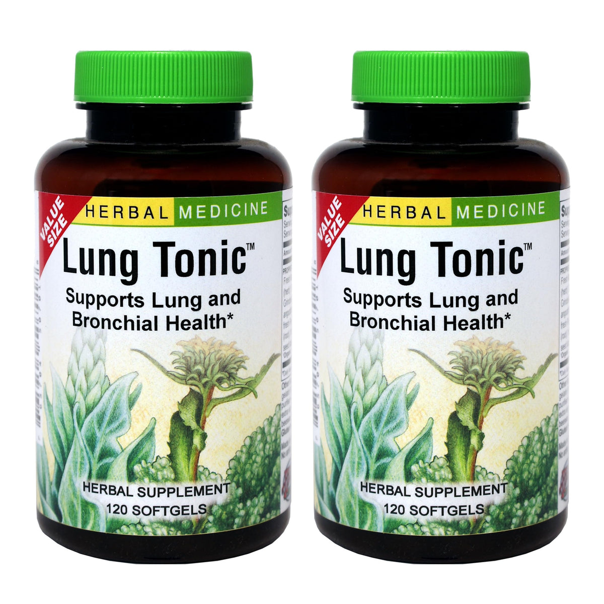 Herbs Etc. tonique pulmonaire – bouteille: soutien respiratoire potentiel au quotidien.