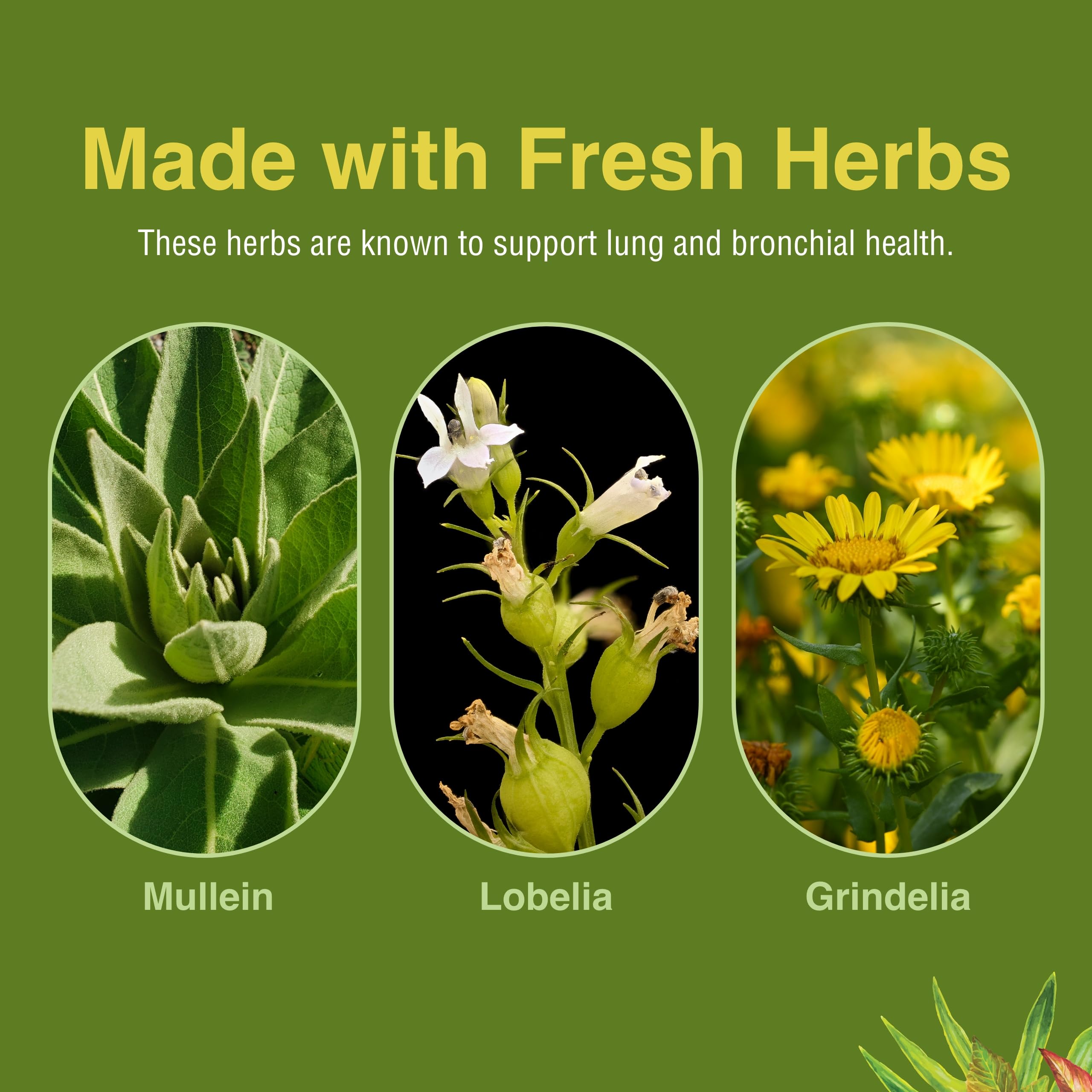 Herbs Etc. tonique pulmonaire – dose recommandée: prise facile avec de l'eau.