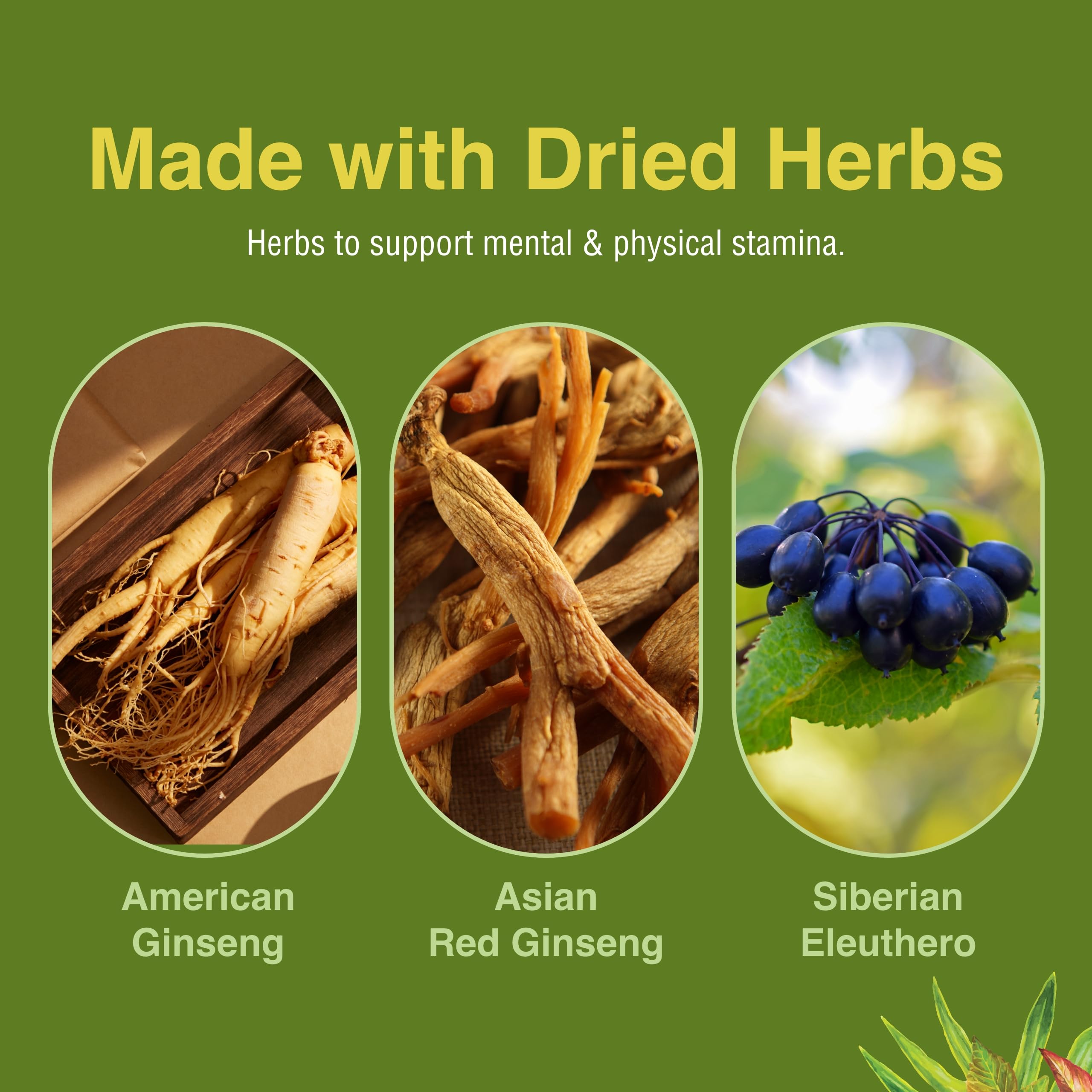 Herbs Etc. Ultimate Ginseng Softgels, dose journalière, facilité d’intégration à la routine.