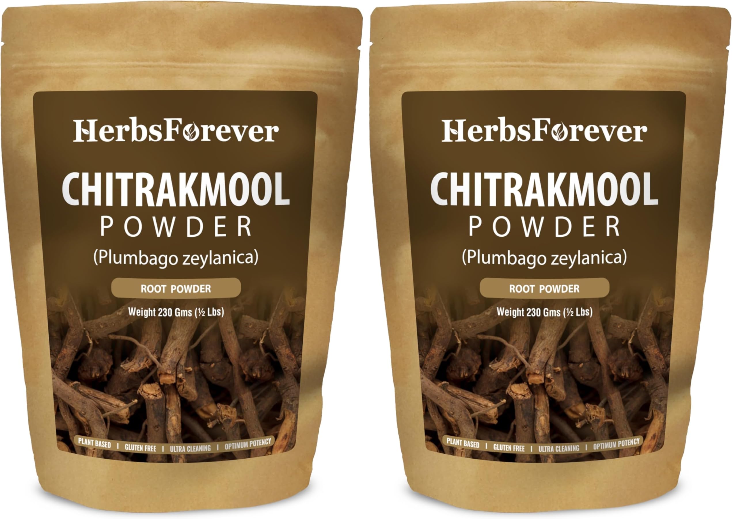Herbsforever Chitrakmool poudre digestion: soutien potentiel du transit.