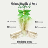 Contrôle qualité rigoureux pour Herbsforever Gurmar, traçabilité assurée