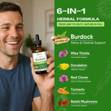 HerbWHOLESOME Curcuma – extrait en gouttes facilitant l’intégration quotidienne.