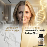 HerbX NADH – capsules quotidiennes, intégration facile à la routine.