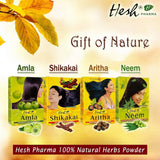 Hesh Amla Poudre 100 g, nutrition légère pour cheveux