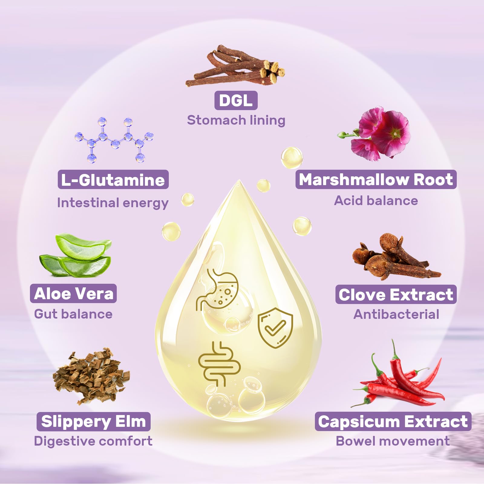 Pipette Liposomal DGL facilitant les dosages quotidiens.