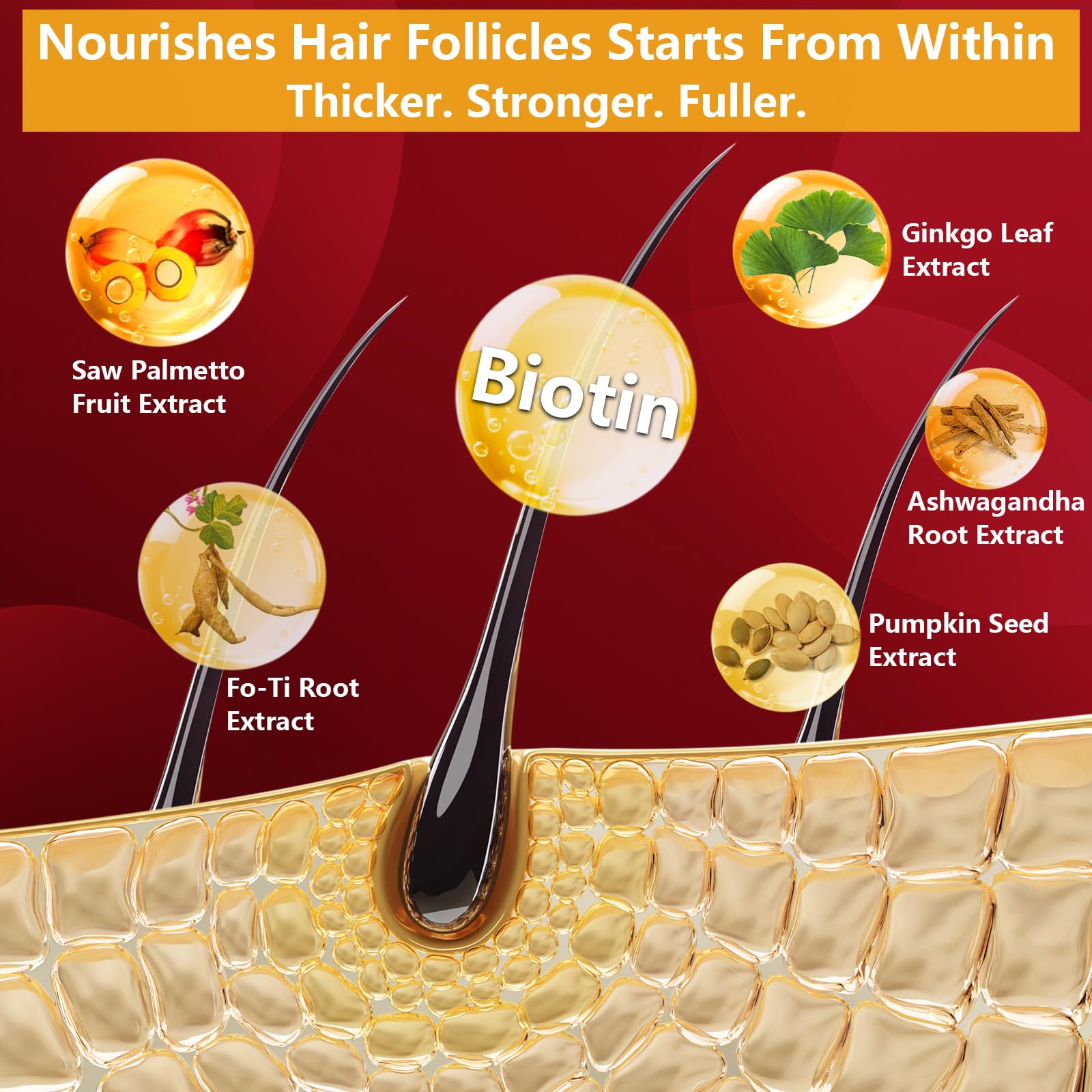 Utilisation quotidienne avec repas, HevChay DHT Blocker soutient les apports nutritionnels